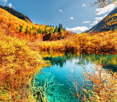 Doğal gölet renkli sonbahar woods ve Dağları Rize Valley Jiuzhaigou doğa rezerv (Jiuzhai Vadisi Milli Parkı), Çin arasında masmavi kristal su ile. Suya yansıyan sonbahar orman.