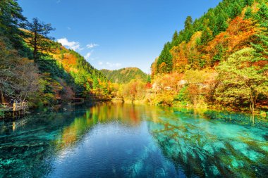 Görünümü beş çiçek Gölü (necklac göl) arasında şaşırtıcı Jiuzhaigou doğa rezerv (Jiuzhai Vadisi Milli Parkı), Çin dağlarında ağaçlık. Masmavi suda yansıyan renkli sonbahar orman.
