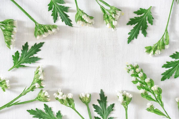 Yuvarlak Kare Harika Beyaz Çiçekler Beyaz Ahşap Zemin Üzerine Yeşil — Stok fotoğraf