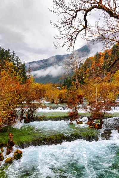 Scenic Autumn Landscape Shuzheng Valley Jiuzhaigou Nature Reserve China Beautiful — Stock Photo, Image
