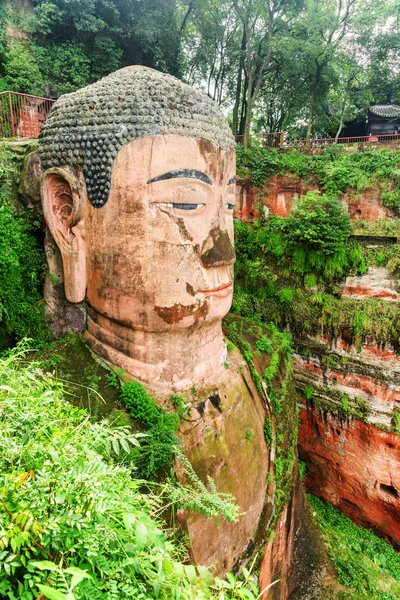 Boční Pohled Obří Buddha Leshan Mezi Zelenými Stromy Keře Největší — Stock fotografie