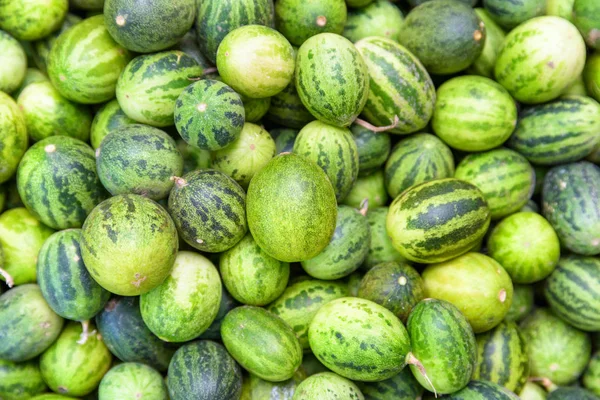 Verse rijpe groene kleine watermeloenen. Vers geoogste vruchten — Stockfoto