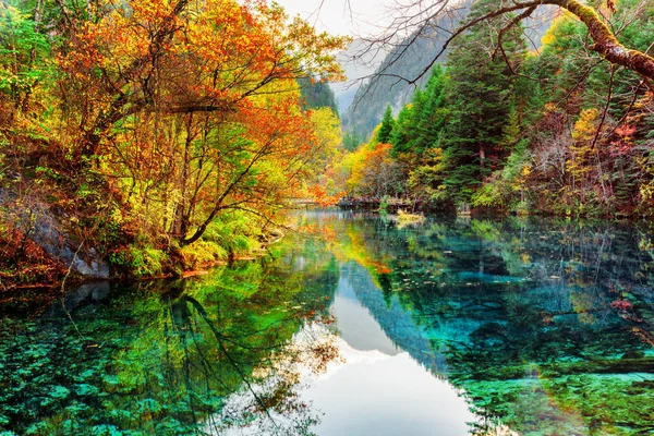 Die fünf Blütenseen. Farbenfroher Herbstwald spiegelt sich im Wasser — Stockfoto