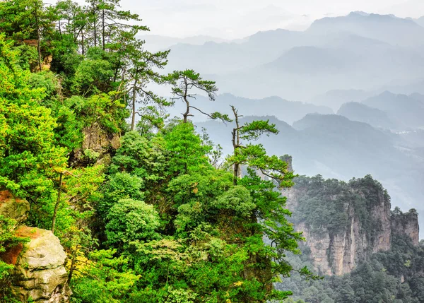 Kaya üzerine, Avatar dağlar büyüyen ağaçlar şaşırtıcı görünümü — Stok fotoğraf