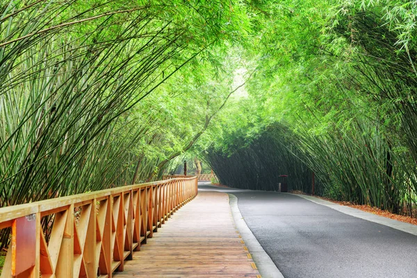 Bambu ormanlar arasında dolambaçlı yol boyunca ahşap geçit — Stok fotoğraf