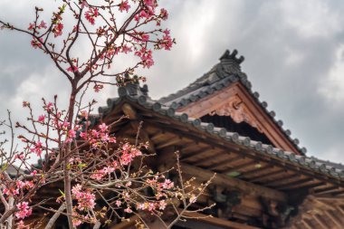 Kiraz çiçeği ağacı ve Japon tarzı çini çatı