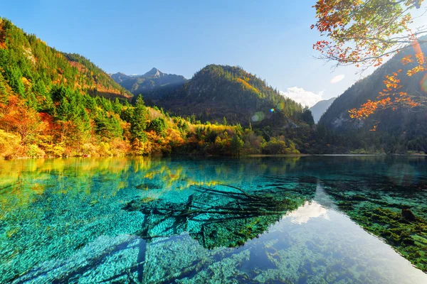 Pětikvětnaté jezero mezi zalesněnými horami a podzimním lesem — Stock fotografie