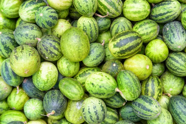 Rijpe groene kleine watermeloenen. Vers geoogste zoete vruchten — Stockfoto