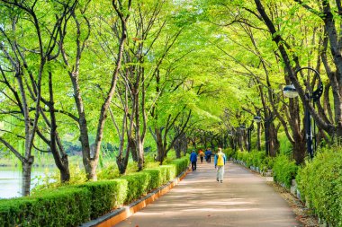 Seul, Güney Kore 'de Park boyunca yürüyen turistler ve sakinleri