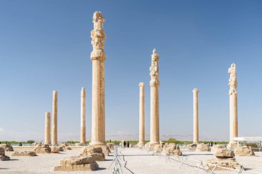 Apadana Sarayı, Persepolis, Iran sütunlarının doğal görünümü