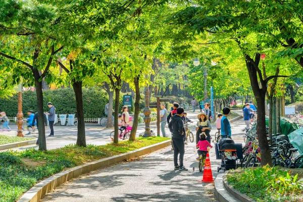 Κορεατικές οικογένειες που ξεκουράζονται και περπατούν κατά μήκος του γραφικού πάρκου, Σεούλ — Φωτογραφία Αρχείου