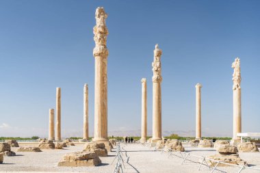 Amazing view of columns of the Apadana Palace, Persepolis, Iran