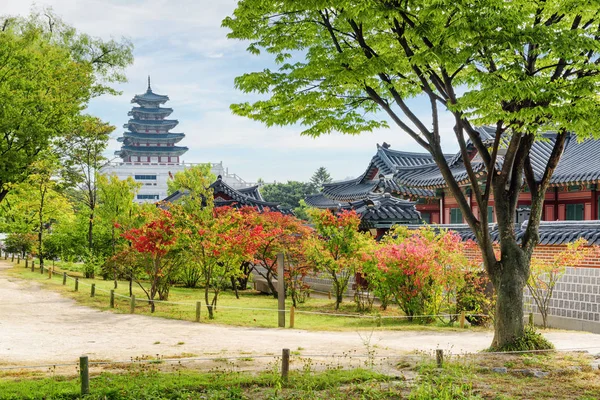 Őszi kilátás a kertre, a Gyeongbokgung palota Dél-Koreában — Stock Fotó