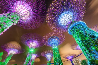 Supertrees ve Skyway 'in renkli gece manzarası