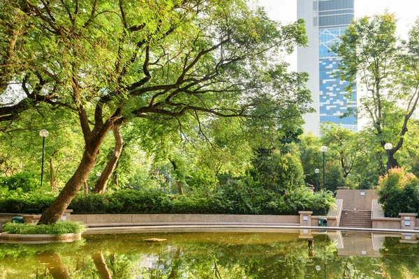 Hong Kong Daki Kowloon Park Taki Suya Yansıyan Yeşil Ağaçların — Stok fotoğraf