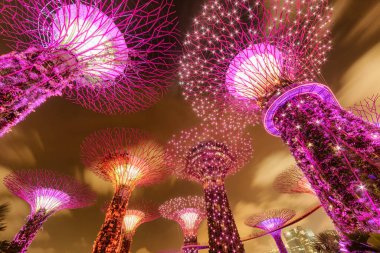 Singapur - 18 Şubat 2017: Körfez kenarındaki Gardens 'taki Supertrees ve Skyway' in manzaralı gece manzarası. Dev ağaç benzeri yapılar ve dikey bahçeler Asya 'nın popüler turistik cazibesidir..