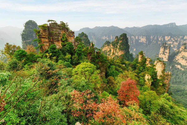 Çin Hunan Eyaleti Ndeki Zhangjiajie Ulusal Orman Parkı Ndaki Tianzi — Stok fotoğraf