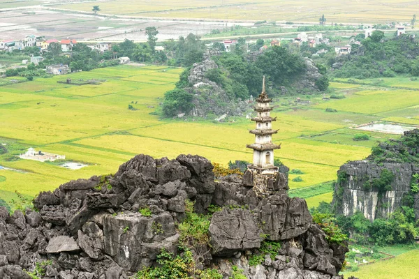 在越南宁滨省的黄稻田中俯瞰美丽的天然喀斯特塔 在山顶上可以看到宝塔 宁滨省是亚洲最受欢迎的旅游胜地 — 图库照片