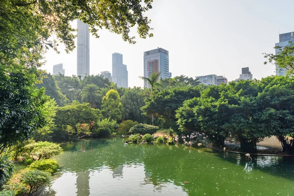 Gorgeous morning view of Bird Lake at Kowloon Park in Hong Kong. Awesome cityscape. Hong Kong is a popular tourist destination of Asia.