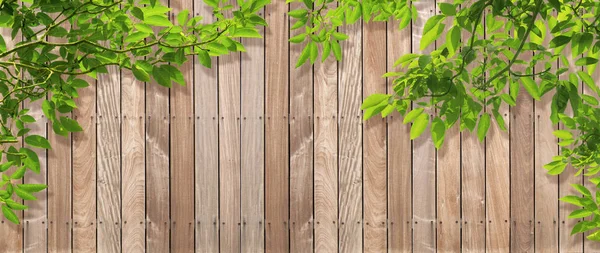 Staket Trä Textur Med Gröna Blad Förgrunden — Stockfoto