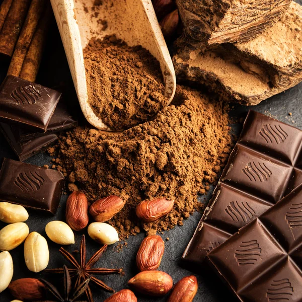 Cocoa powder, chocolate, nuts and spices — Stock Photo, Image