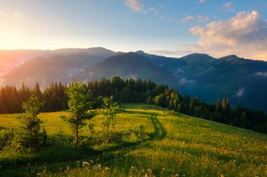 Gündoğumu sırasında dağ Vadisi