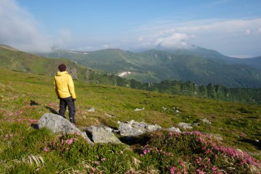 Sarı ceketli yalnız bir turist.