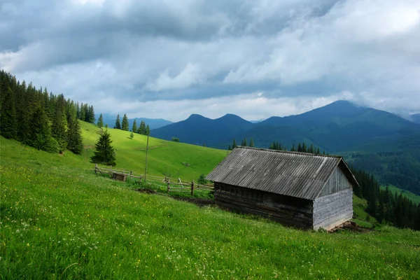 Alleen huis op mistige weide — Stockfoto