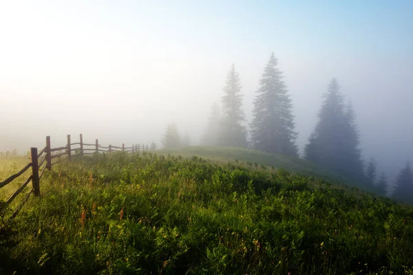 Woden fence on foggy meadow — Stock Photo, Image