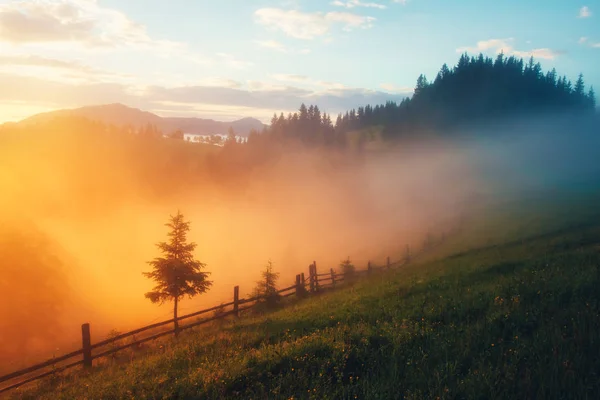 Horské údolí při východu slunce — Stock fotografie