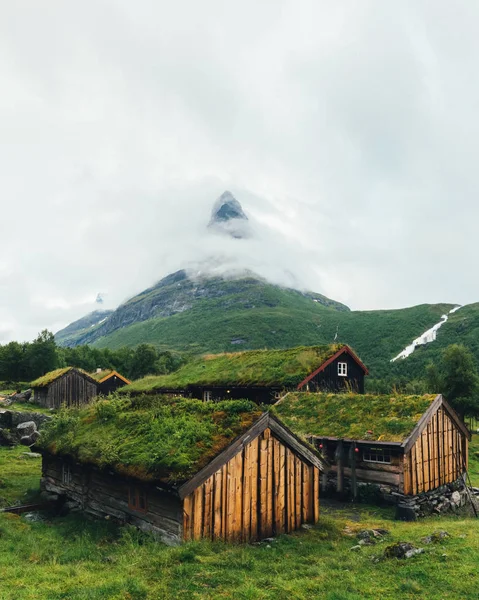 Norvég fű tető régi ház — Stock Fotó