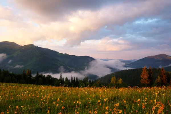 Горная долина на восходе солнца Стоковое Изображение