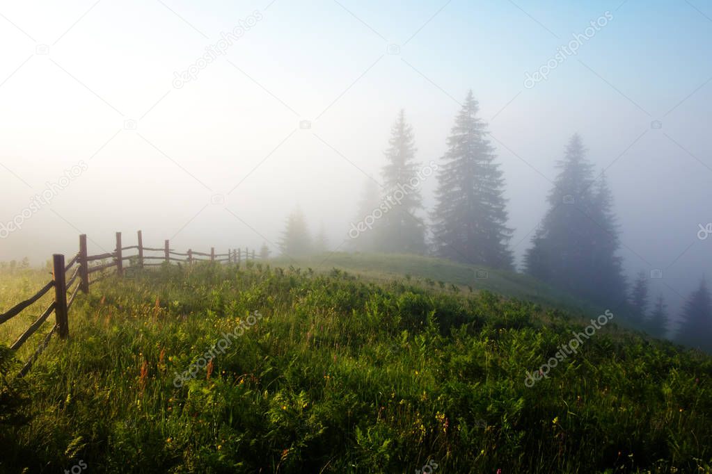 Woden fence on foggy meadow