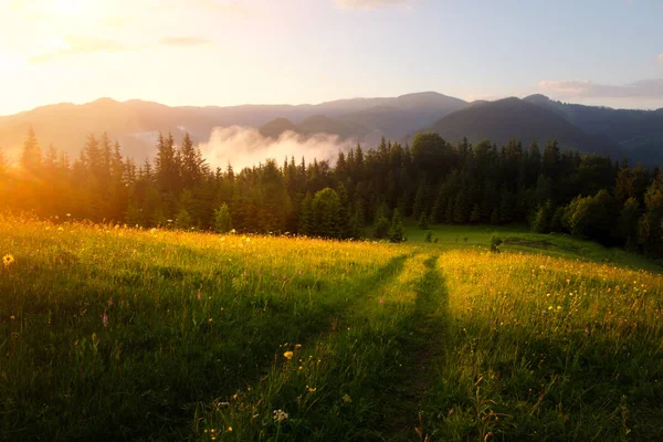 Valle de la montaña durante el amanecer — Foto de Stock