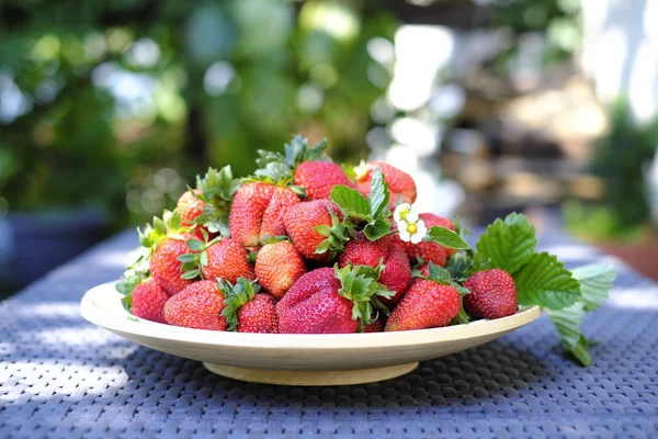 Erdbeere im Teller Nahaufnahme — Stockfoto