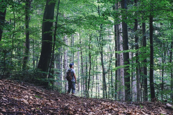 Alone man in wild forest — Stock Photo, Image