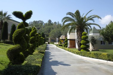 Amara Dolce Vita lüks otel popüler tatil