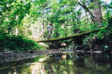 Vahşi ormanda yalnız adam
