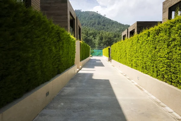Nowoczesne domy z roślina zielony ściana — Zdjęcie stockowe
