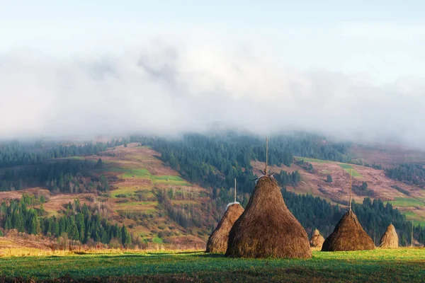 Amazing rural scene on autumn valley — Stock Photo, Image