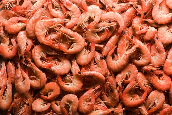 Big boiled shrimps close up — Stock Photo, Image