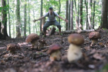 İnsan mantar toplar.