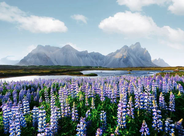 Vestrahorn 岬で有名な Stokksnes 山 — ストック写真