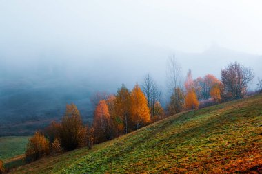 Sonbahar dağlarında inanılmaz bir manzara