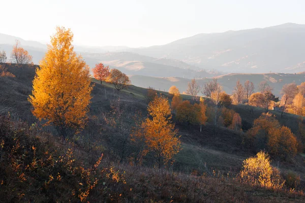 Increíble escena en las montañas de otoño —  Fotos de Stock