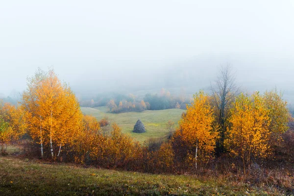 Erstaunliche Szene auf den herbstlichen Bergen — Stockfoto