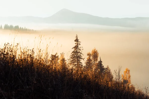 Amazing scene on autumn mountains — Stock Photo, Image