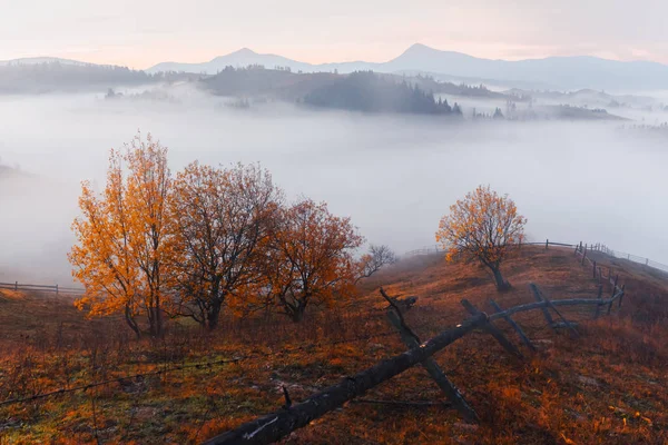 Fantastisk scen på höstfjällen — Stockfoto