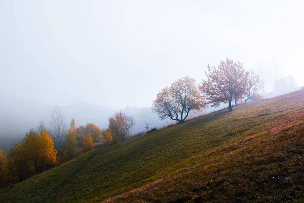 Úžasná scéna na podzimních horách — Stock fotografie