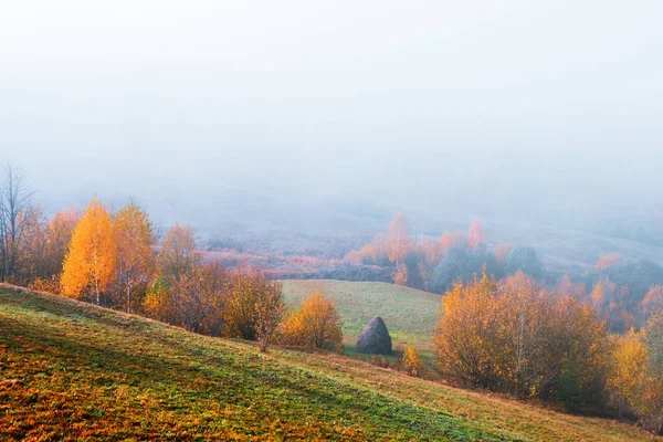 Verbazingwekkende scène op de herfst bergen — Stockfoto